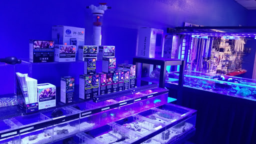 Pet Store «Corals and Fins», reviews and photos, 5011 W Hillsborough Ave, Tampa, FL 33634, USA