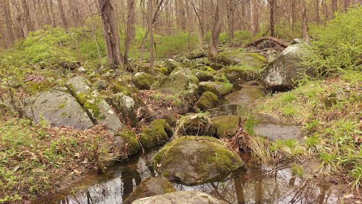 Nature Preserve «Sourland Mountain Preserve», reviews and photos, 421 E Mountain Rd, Hillsborough Township, NJ 08844, USA