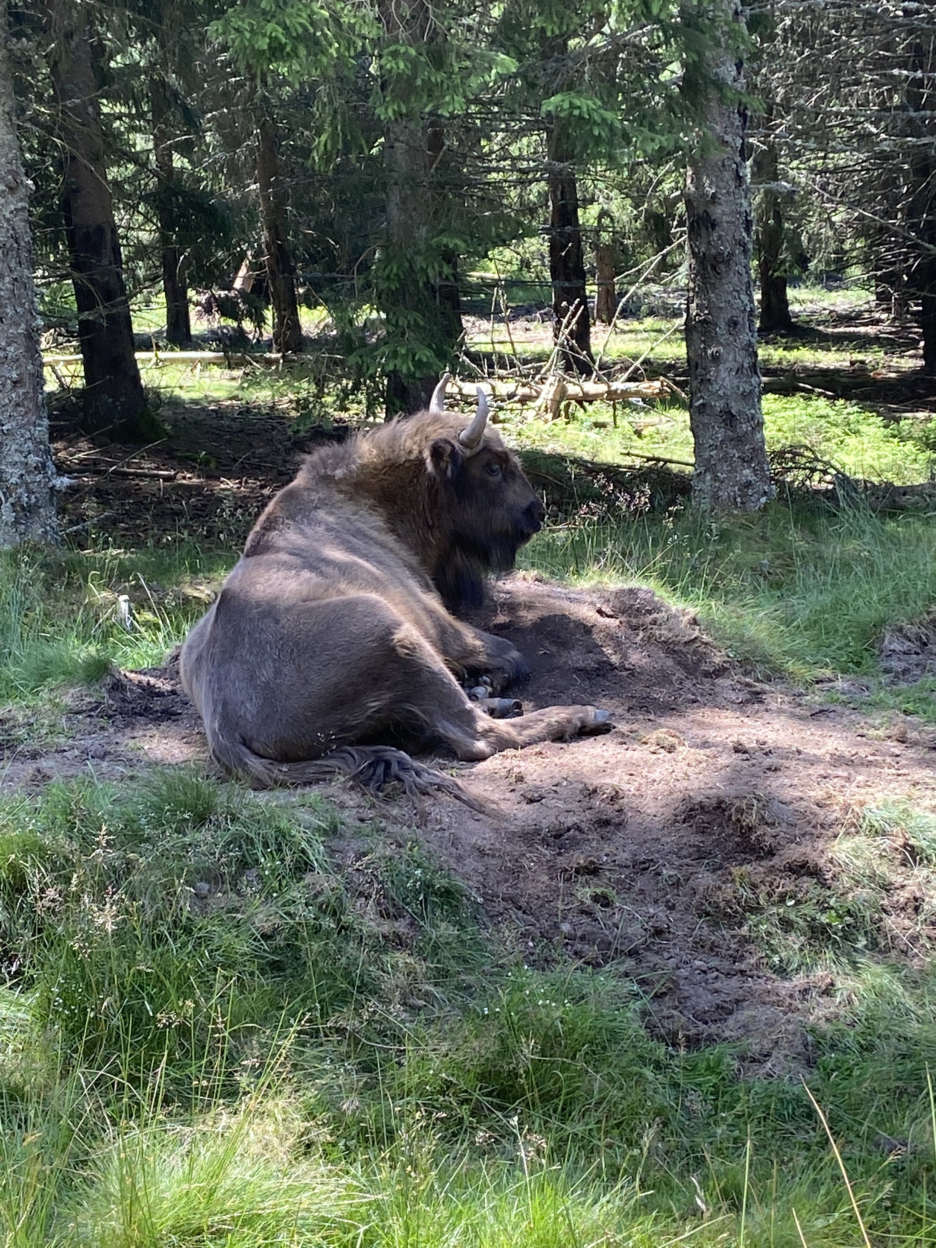 Photo n° 2 de l'avis de Jeanne.l fait le 27/07/2021 à 20:40