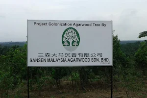 District Kulai- SANSEN MALAYSIA AGARWOOD image