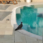 Photo n°3 de l'avis de Claudio.a fait le 25/07/2021 à 15:15 sur le  Hotel Montecarlo à Bibione