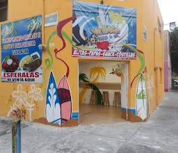 Wings Sur & Co. photo