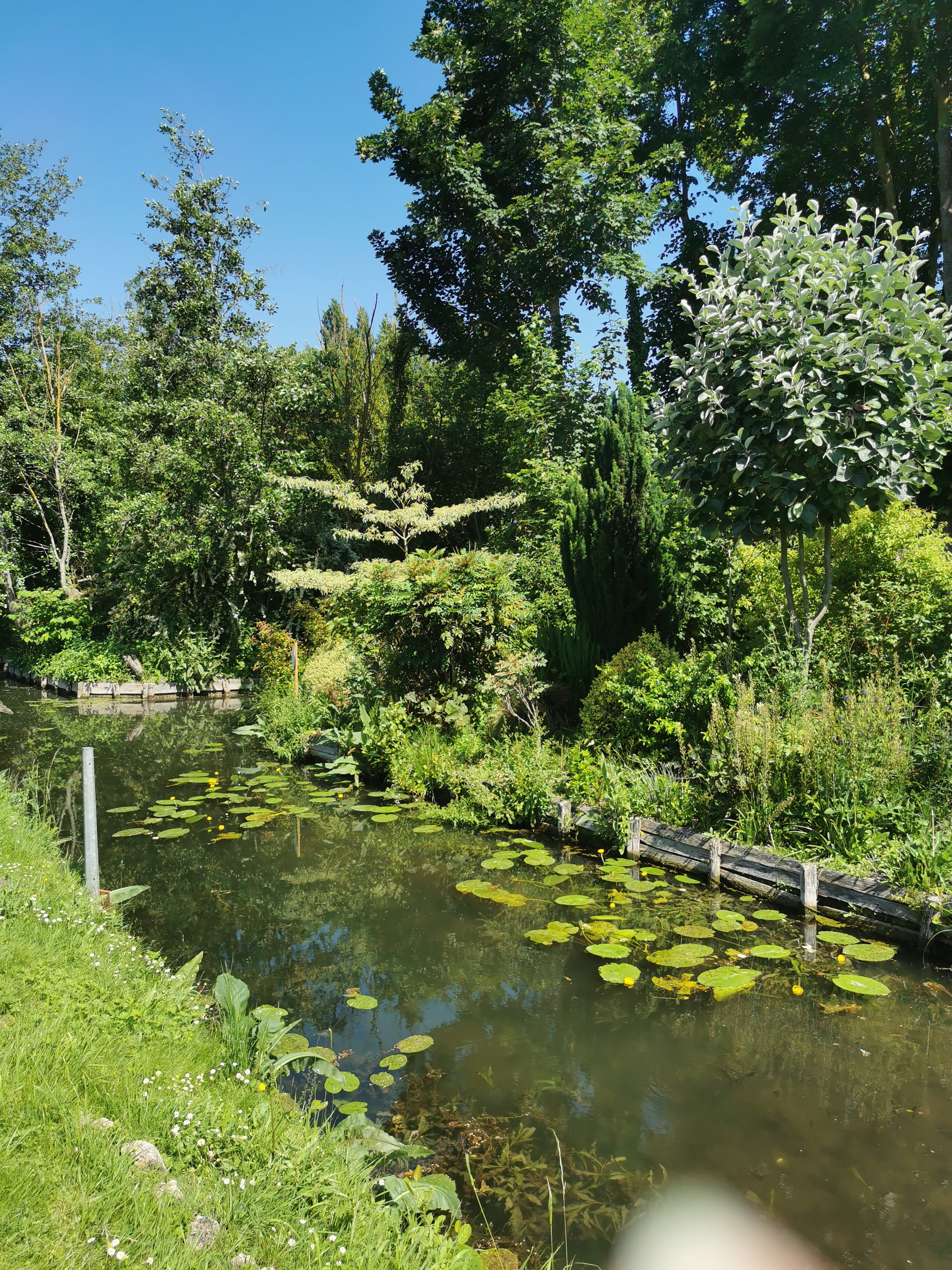 Photo n° 15 de l'avis de pierre.a fait le 13/06/2021 à 15:46