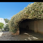 Photo n°4 de l'avis de martino.r fait le 31/05/2021 à 17:42 sur le  Masseria Ancella à Montalbano