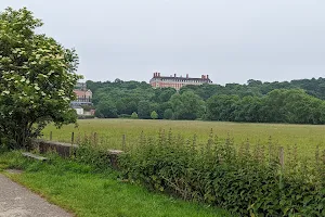 Petersham Meadows image