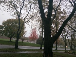 Homewood-Flossmoor Park Districts Lions Club Pool - photo 27