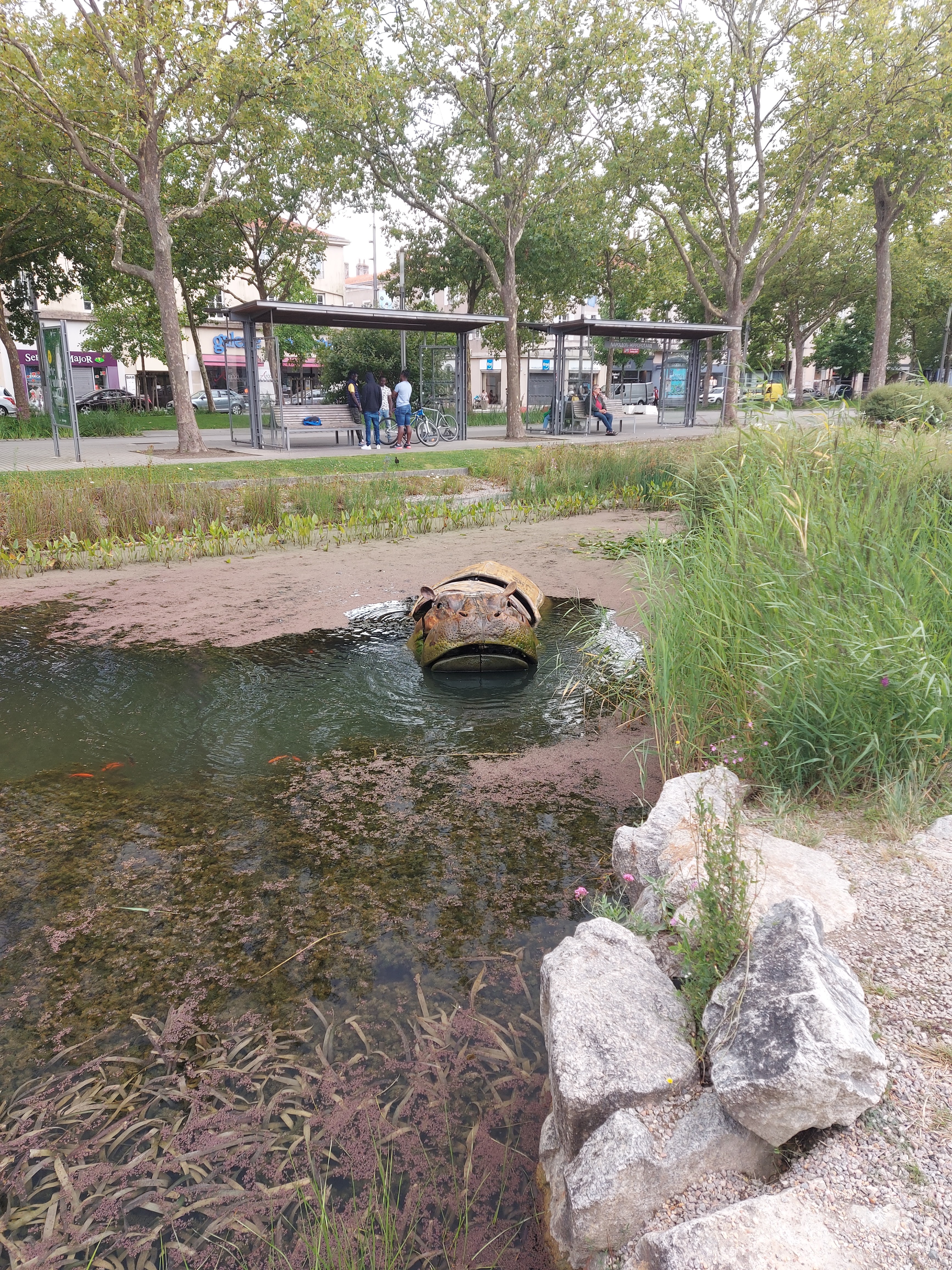 Photo n° 4 de l'avis de martin.y fait le 13/08/2021 à 21:48