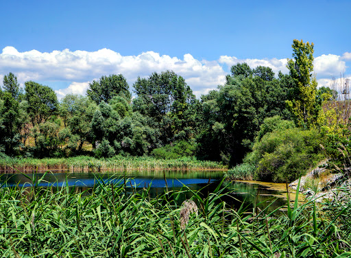 Sofia Airport Park