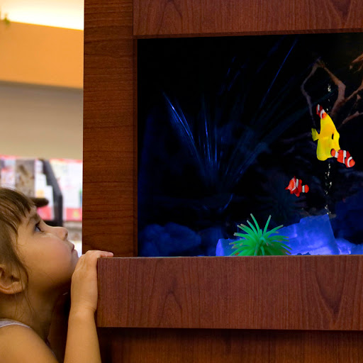 Contractor «Home Lumber of New Haven, Incorporated», reviews and photos