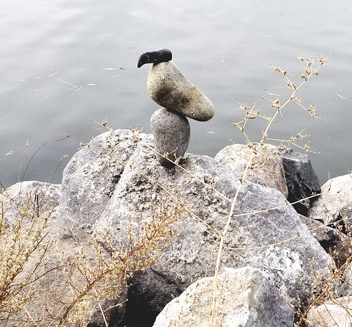 Nature Preserve «Virginia Lake», reviews and photos, 1980 Lakeside Dr, Reno, NV 89509, USA