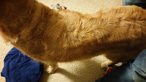 Pet Supply Store «Petco Animal Supplies», reviews and photos, 520 Woodside Rd, Redwood City, CA 94061, USA