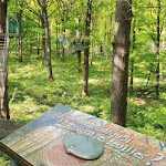 Photo n° 40 de l'avis de Eve.u fait le 06/05/2018 à 15:51 pour Espace Rambouillet à Sonchamp