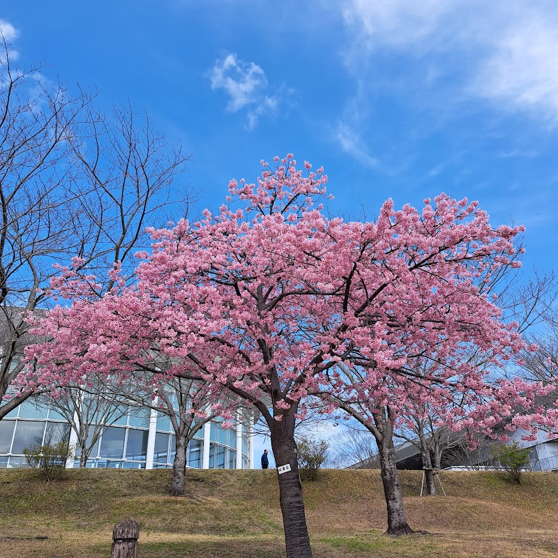 鹿児島ふれあいスポーツランド