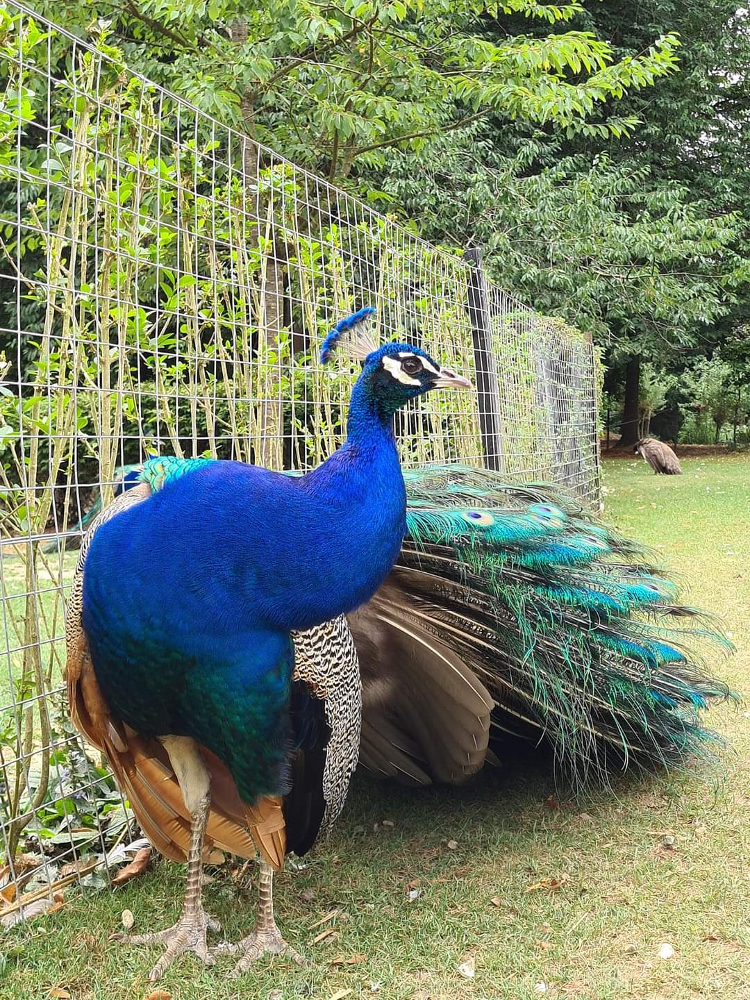 Photo n° 1 de l'avis de Maïté.e fait le 03/08/2022 à 19:24