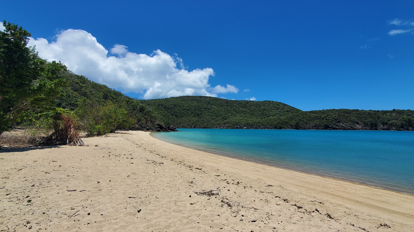 Foto von Coral Cove Beach mit beiger sand Oberfläche