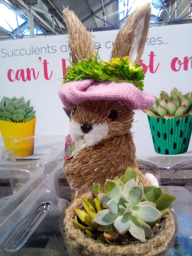 Home Improvement Store «The Home Depot», reviews and photos, 3700 NJ-35, Hazlet, NJ 07730, USA