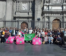 México University - Fun Walking Tours & Learning Experiences photo