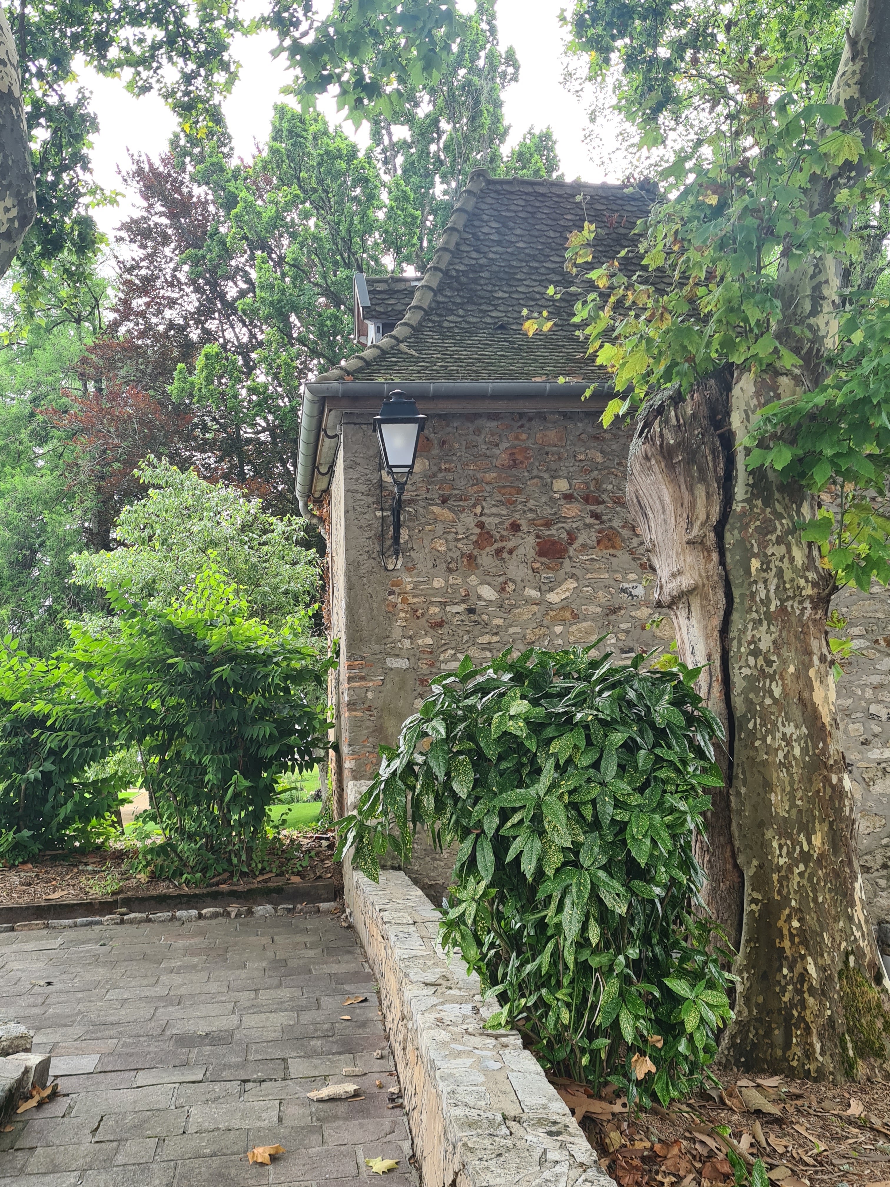 Photo n° 2 de l'avis de Maïté.e fait le 03/08/2021 à 15:35