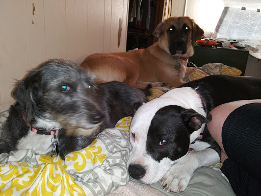 419 S Hydraulic Ave, Wichita, KS 67211, USA