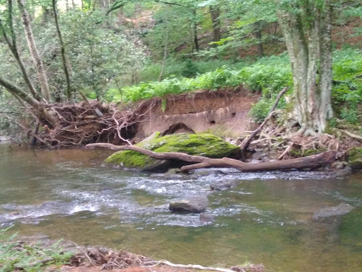 Tourist Attraction «Mystery Hill», reviews and photos, 129 Mystery Hill Ln, Blowing Rock, NC 28605, USA