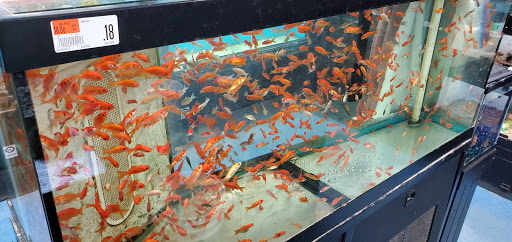 Pet Supply Store «PetSmart», reviews and photos, 150 Glynn Isle, Brunswick, GA 31525, USA