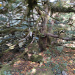 Photo n°5 de l'avis de lucia.i fait le 08/11/2021 à 15:34 sur le  Baglio San Pietro à Nicosia