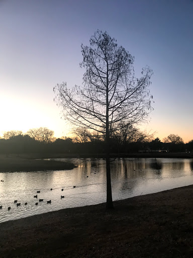 Park «Duck Pond Park», reviews and photos, 400 E Bethel School Rd, Coppell, TX 75019, USA