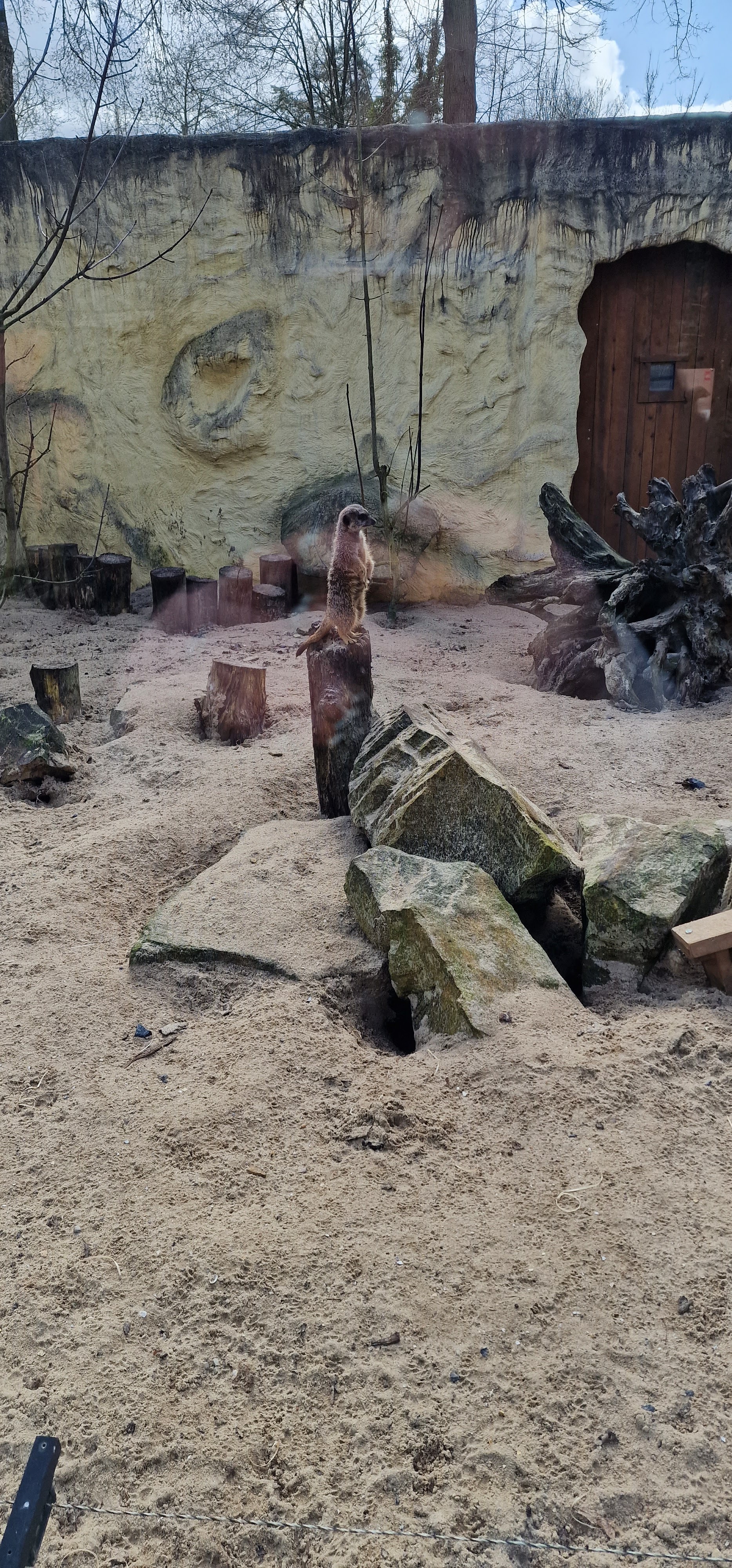 Photo n° 4 de l'avis de L. fait le 28/02/2023 à 07:29