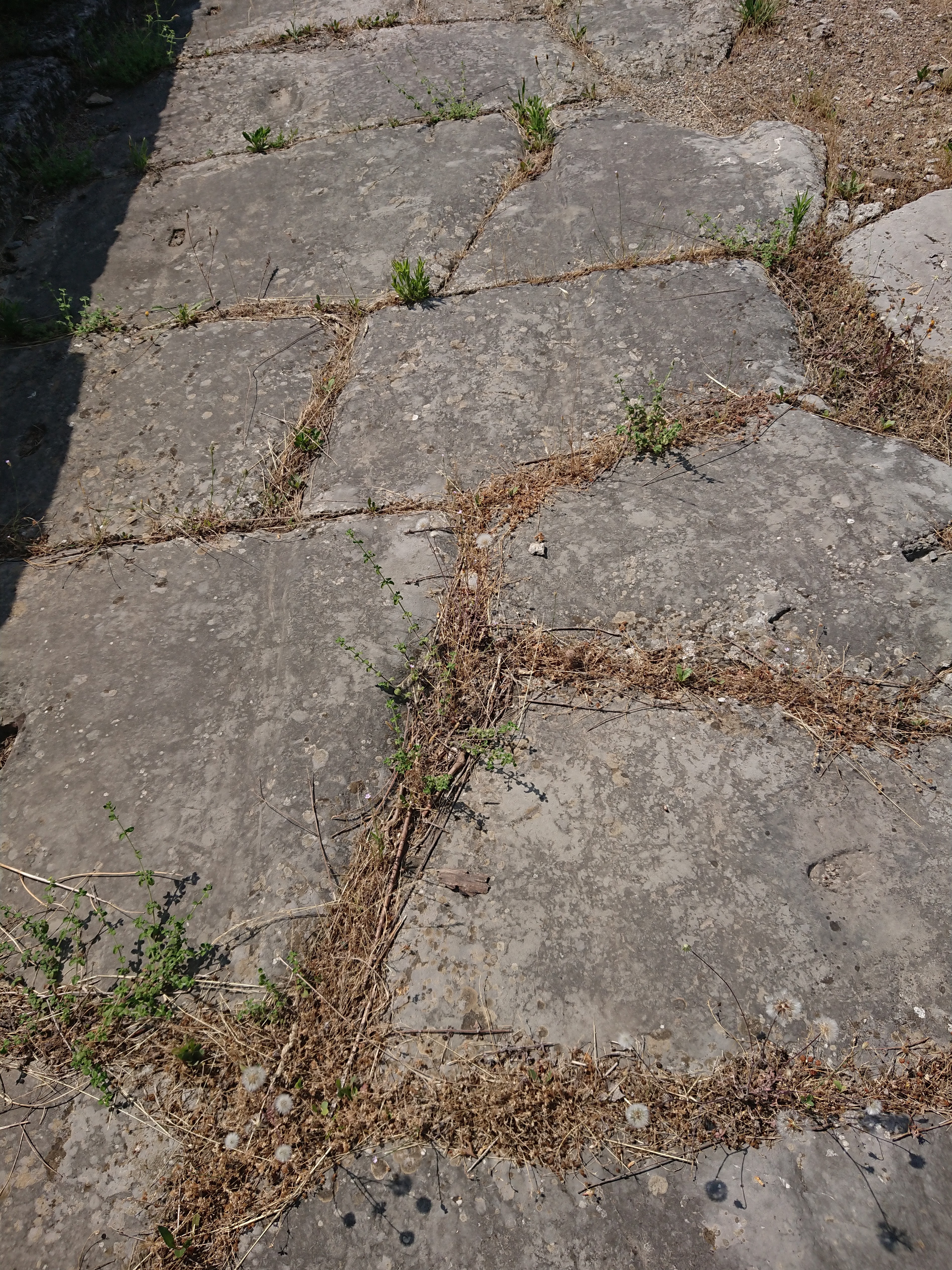 Photo n° 1 de l'avis de More.r fait le 07/07/2019 à 11:59