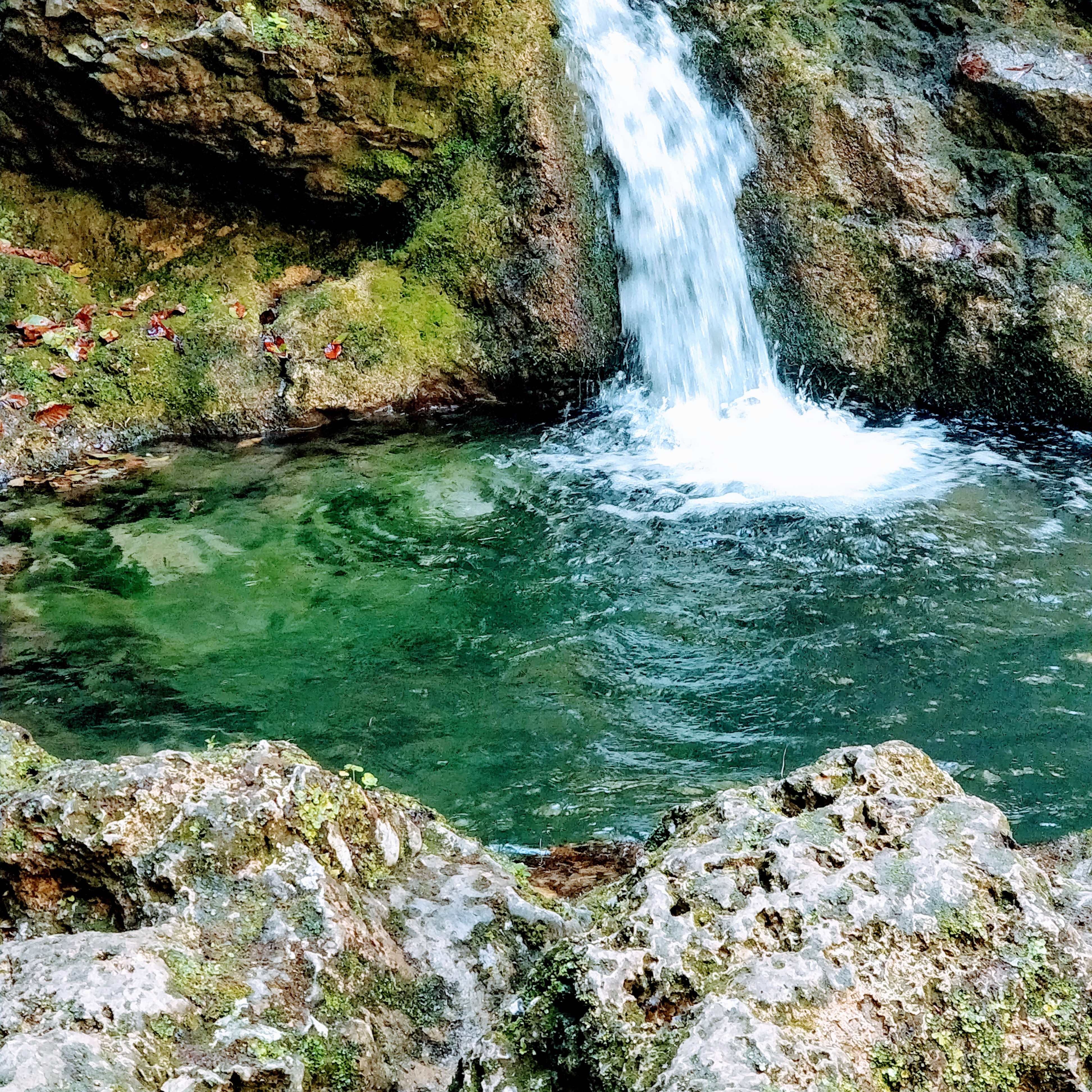 Photo n° 1 de l'avis de Fredo.g fait le 07/08/2018 à 11:31