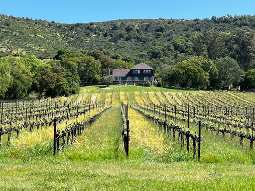 Sonoma Valley Bike Tours & Rentals image
