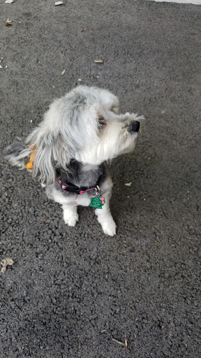 Pet Supply Store «PetSmart», reviews and photos, 4824 211th St, Matteson, IL 60443, USA