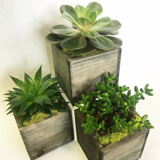 Gift Shop «Petal Patch», reviews and photos, 29955 SW Boones Ferry Rd, Wilsonville, OR 97070, USA