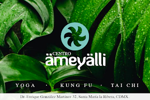 Centro Ameyalli - Yoga, Kung Fu y Tai Chi image