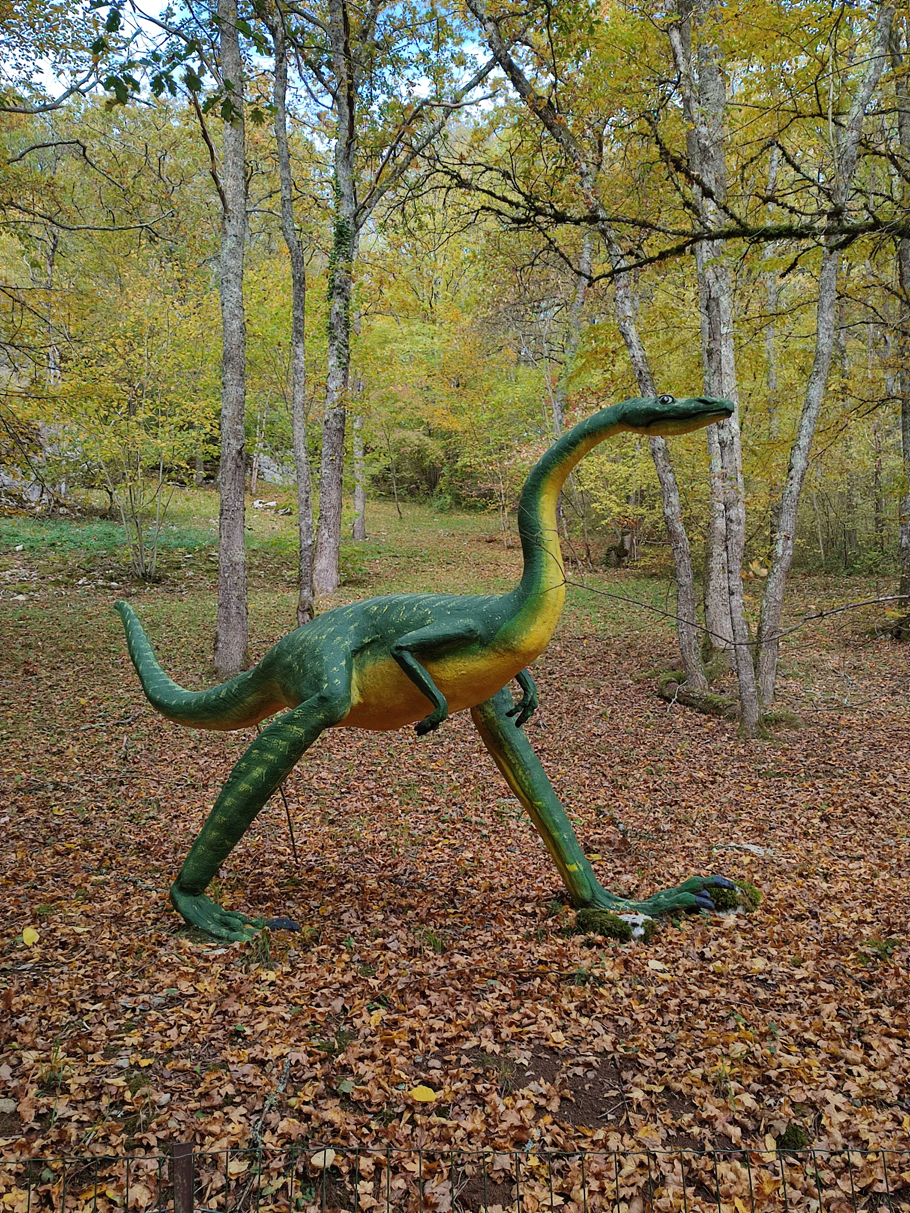 Photo n° 4 de l'avis de Anna.e fait le 05/11/2021 à 20:07