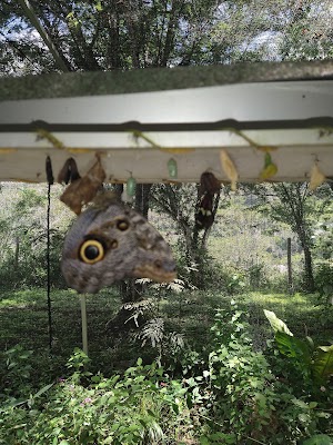 Mariposario Zoonatura Villeta - photo 1