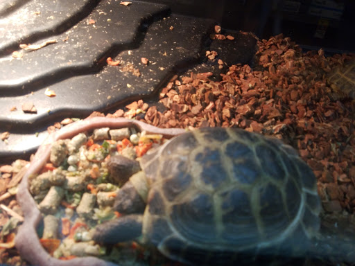 Pet Supply Store «PetSmart», reviews and photos, 5005 S 74th St, Greenfield, WI 53220, USA