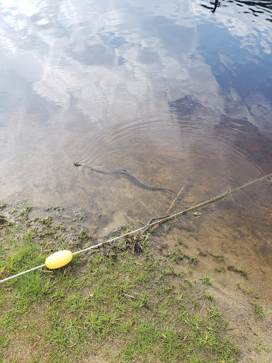 Park «Bethany Veterans Memorial Park», reviews and photos, 265 Beacon Rd, Bethany, CT 06524, USA