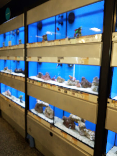 Pet Supply Store «Petco Animal Supplies», reviews and photos, 18200 NW Evergreen Pkwy, Beaverton, OR 97006, USA