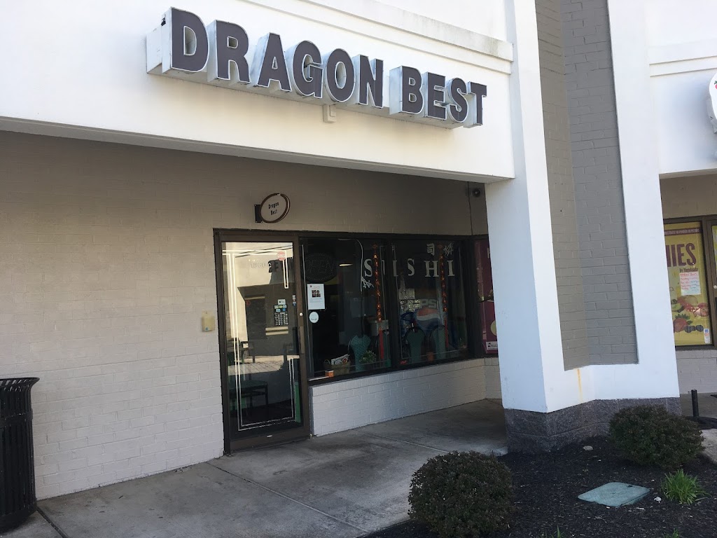 Dragon Best 21208