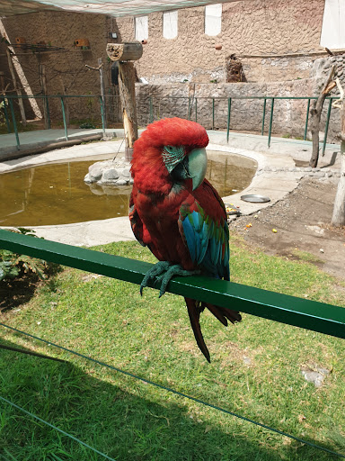 Zoo Mundo
