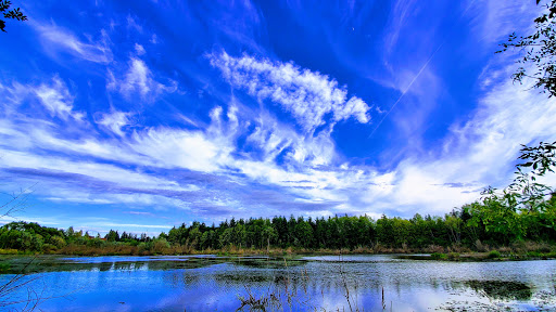 Nature Preserve «Beaverton Creek Wetlands Natural Area», reviews and photos, SW 153rd Dr, Beaverton, OR 97006, USA