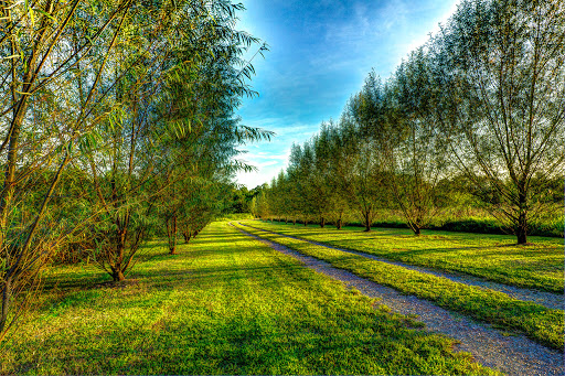 Wedding Venue «Cheval Manor Ranch», reviews and photos, 7052 W Gum Rd, Murfreesboro, TN 37127, USA