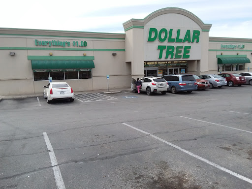 Dollar Store «Dollar Tree», reviews and photos, 8300 W Farm to Market Rd 78, Converse, TX 78109, USA