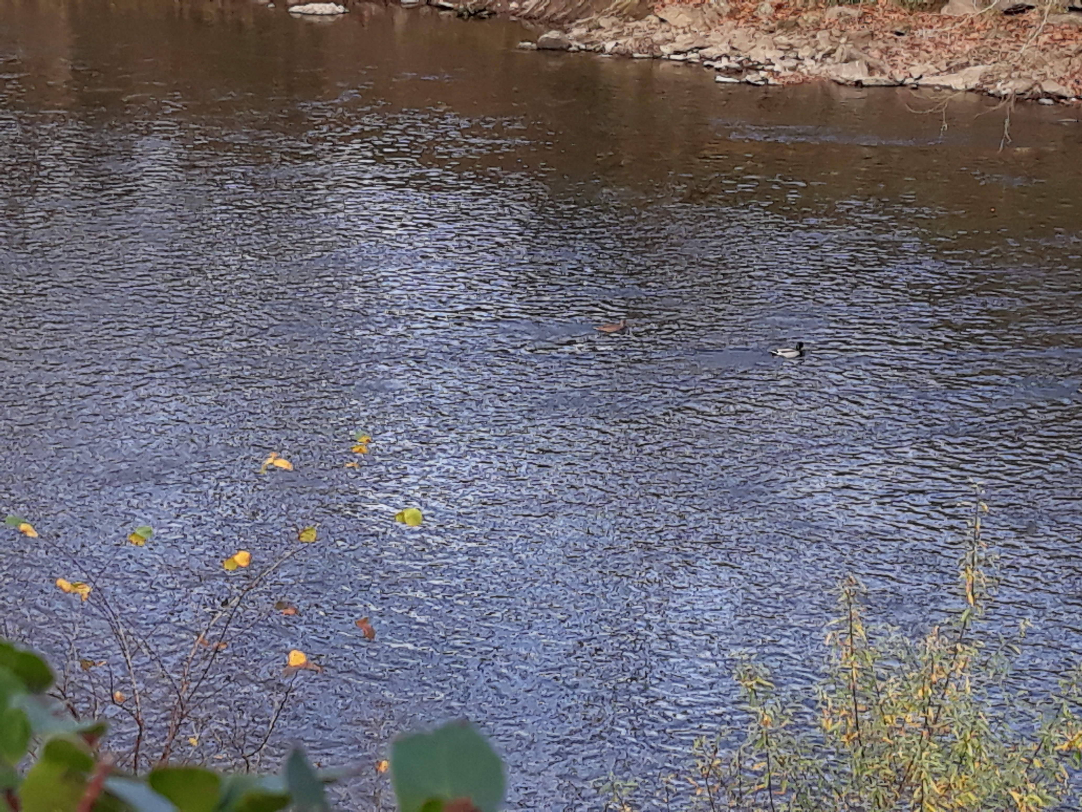 Photo n° 3 de l'avis de Josiane.A fait le 10/01/2019 à 10:35