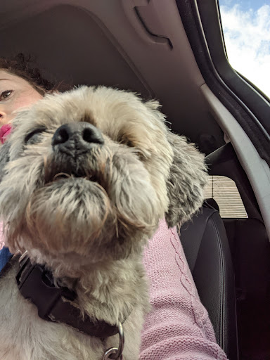 Pet Supply Store «Petco Animal Supplies», reviews and photos, 2210 N Eagle Rd, Meridian, ID 83646, USA