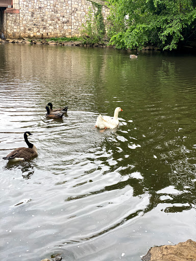 Coffee Shop «Moth coffeehouse», reviews and photos, 42 S Main St, Allentown, NJ 08501, USA