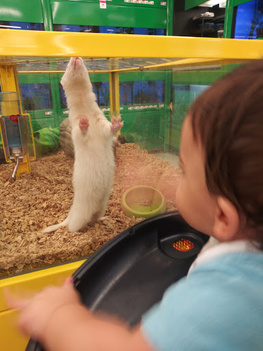 Pet Supply Store «Pet Supplies Plus», reviews and photos, 4923 Sheridan St, Hollywood, FL 33021, USA