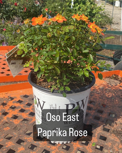 Landscaping Supply Store «Kirkwood Gardens», reviews and photos, 2701 Barrett Station Rd, Ballwin, MO 63021, USA