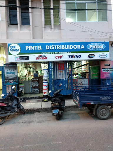 Distribuidora Pintel